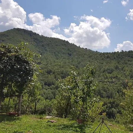 Natura E Relax Nella Valle Del Biologico 公寓 瓦雷塞利古雷