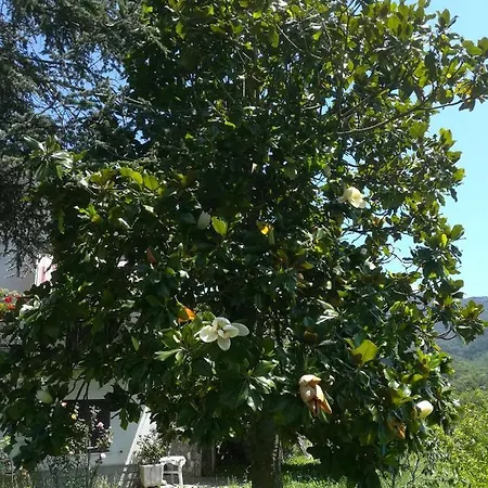 Natura E Relax Nella Valle Del Biologico 公寓 *