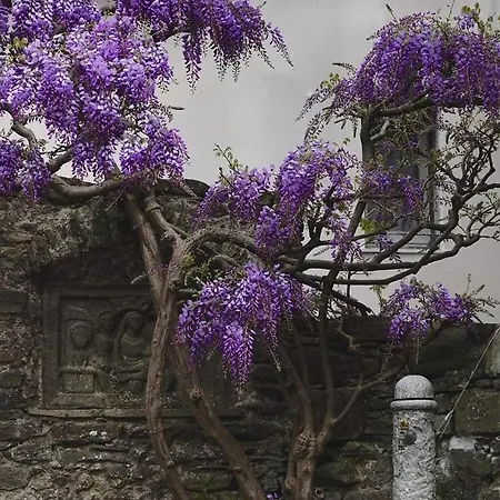 Natura E Relax Nella Valle Del Biologico 公寓 瓦雷塞利古雷